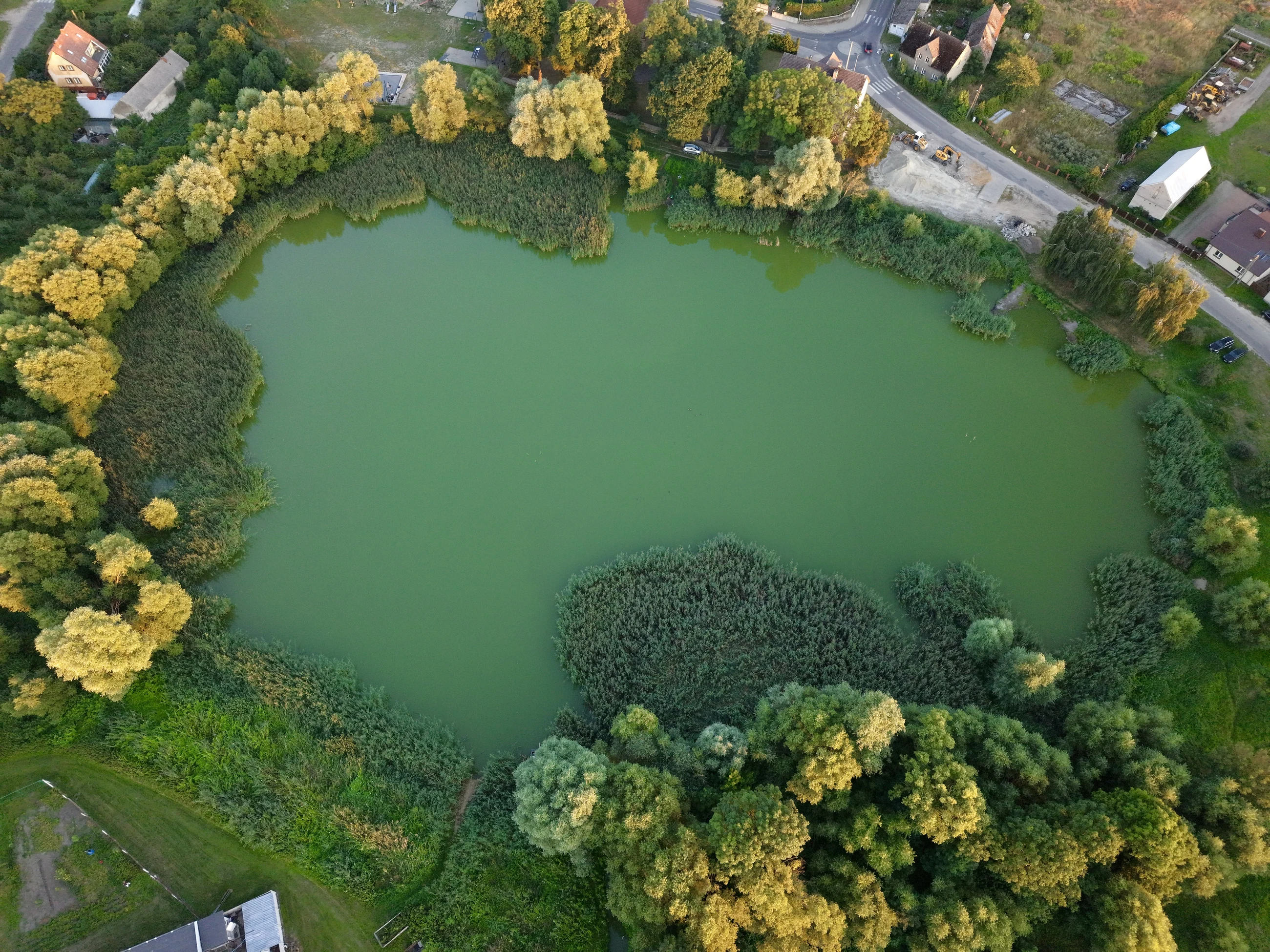 Jezioro otoczone lasem, widziane pionowo z góry